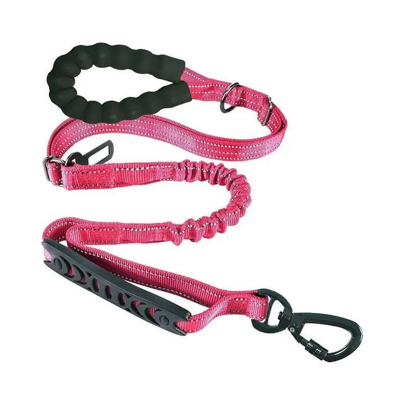 https://cdn.shopify.com/s/files/1/0647/9170/7830/files/laisse-retractable-pour-chien-9358750.webp?v=1777923847