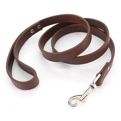 https://cdn.shopify.com/s/files/1/0647/9170/7830/files/laisse-style-cuir-pour-chiot-1635179.webp?v=1777924273