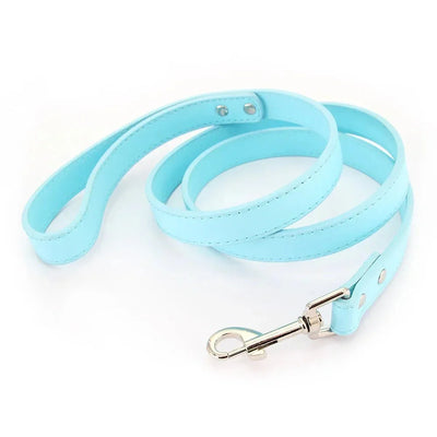 https://cdn.shopify.com/s/files/1/0647/9170/7830/files/laisse-style-cuir-pour-chiot-2629500.webp?v=1777924273