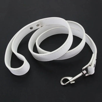 https://cdn.shopify.com/s/files/1/0647/9170/7830/files/laisse-style-cuir-pour-chiot-3266211.webp?v=1777924273