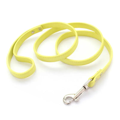 https://cdn.shopify.com/s/files/1/0647/9170/7830/files/laisse-style-cuir-pour-chiot-3919700.webp?v=1777924274