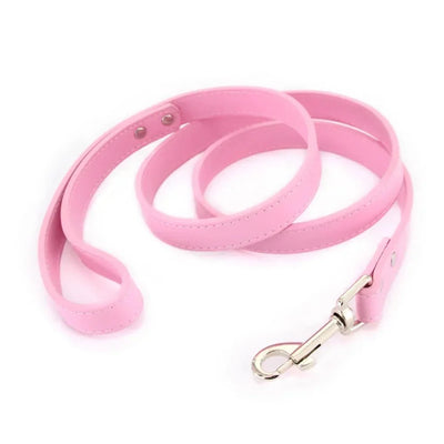 https://cdn.shopify.com/s/files/1/0647/9170/7830/files/laisse-style-cuir-pour-chiot-4142492.webp?v=1777924513