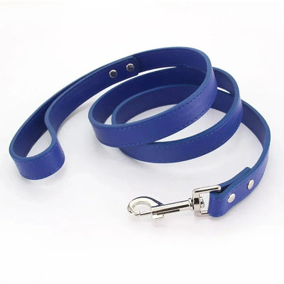 https://cdn.shopify.com/s/files/1/0647/9170/7830/files/laisse-style-cuir-pour-chiot-4400724.webp?v=1777924512
