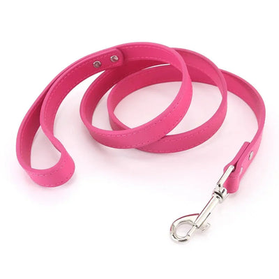 https://cdn.shopify.com/s/files/1/0647/9170/7830/files/laisse-style-cuir-pour-chiot-5329646.webp?v=1777924512