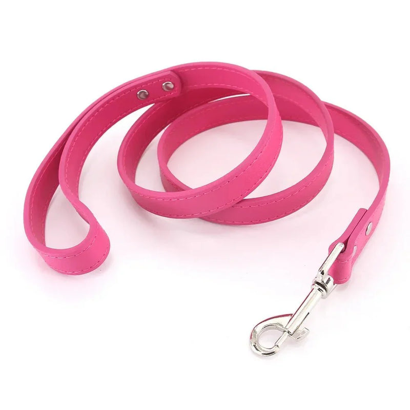 https://cdn.shopify.com/s/files/1/0647/9170/7830/files/laisse-style-cuir-pour-chiot-5606516.webp?v=1777924514