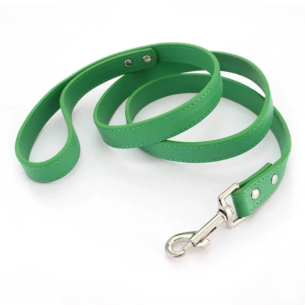 https://cdn.shopify.com/s/files/1/0647/9170/7830/files/laisse-style-cuir-pour-chiot-5606516.webp?v=1777924514