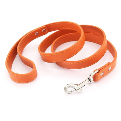 https://cdn.shopify.com/s/files/1/0647/9170/7830/files/laisse-style-cuir-pour-chiot-5982551.webp?v=1777924275