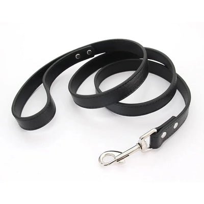 https://cdn.shopify.com/s/files/1/0647/9170/7830/files/laisse-style-cuir-pour-chiot-7308221.webp?v=1777924274