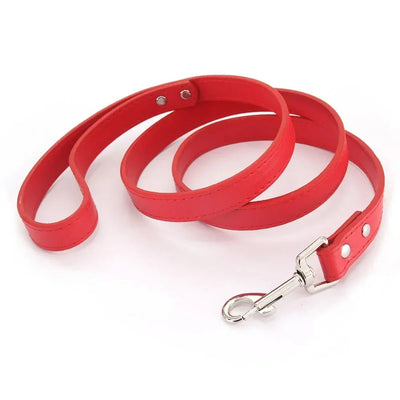 https://cdn.shopify.com/s/files/1/0647/9170/7830/files/laisse-style-cuir-pour-chiot-7438887.webp?v=1777924275