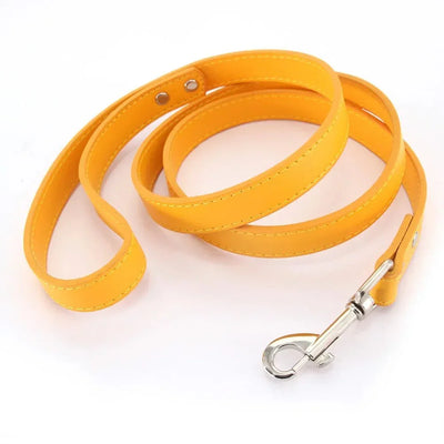 https://cdn.shopify.com/s/files/1/0647/9170/7830/files/laisse-style-cuir-pour-chiot-7903977.webp?v=1777924513