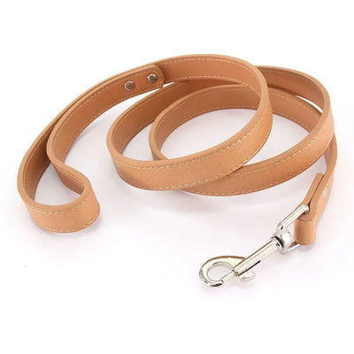 https://cdn.shopify.com/s/files/1/0647/9170/7830/files/laisse-style-cuir-pour-chiot-8201097.webp?v=1777924273