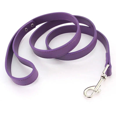 https://cdn.shopify.com/s/files/1/0647/9170/7830/files/laisse-style-cuir-pour-chiot-8437558.webp?v=1777924513