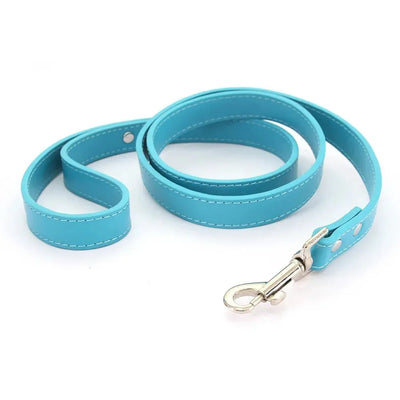 https://cdn.shopify.com/s/files/1/0647/9170/7830/files/laisse-style-cuir-pour-chiot-9333690.webp?v=1777924274