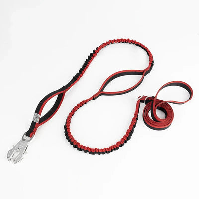 https://cdn.shopify.com/s/files/1/0647/9170/7830/files/laisse-tactique-pour-chien-3116920.webp?v=1777923370
