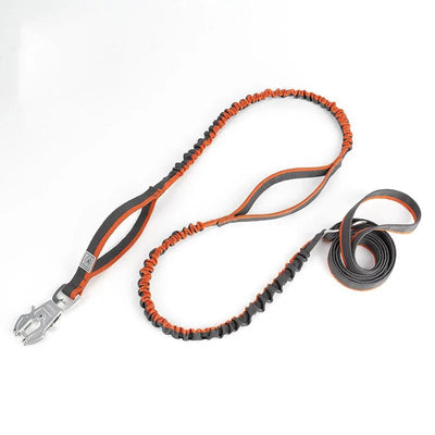 https://cdn.shopify.com/s/files/1/0647/9170/7830/files/laisse-tactique-pour-chien-3838116.webp?v=1777923371