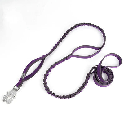 https://cdn.shopify.com/s/files/1/0647/9170/7830/files/laisse-tactique-pour-chien-5699143.webp?v=1777923370