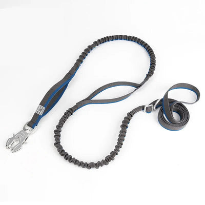 https://cdn.shopify.com/s/files/1/0647/9170/7830/files/laisse-tactique-pour-chien-8868609.webp?v=1777923370