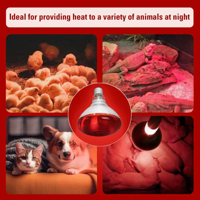 https://cdn.shopify.com/s/files/1/0647/9170/7830/files/lampe-chauffante-chiot-250w-9000510.webp?v=1777924270