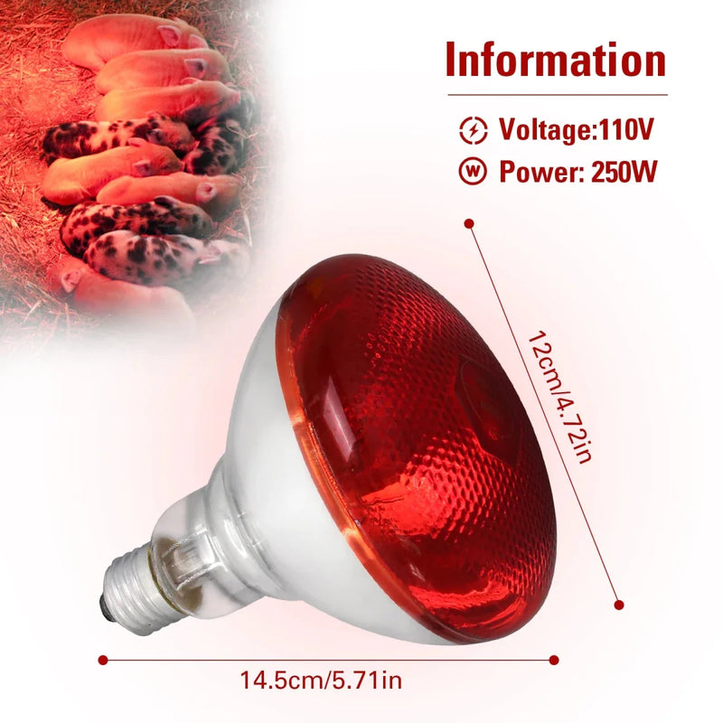 https://cdn.shopify.com/s/files/1/0647/9170/7830/files/lampe-chauffante-chiot-250w-4346137.webp?v=1777924270