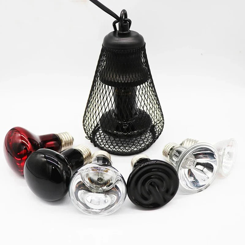 https://cdn.shopify.com/s/files/1/0647/9170/7830/files/lampe-chauffante-pour-chiot-6577690.webp?v=1777924512