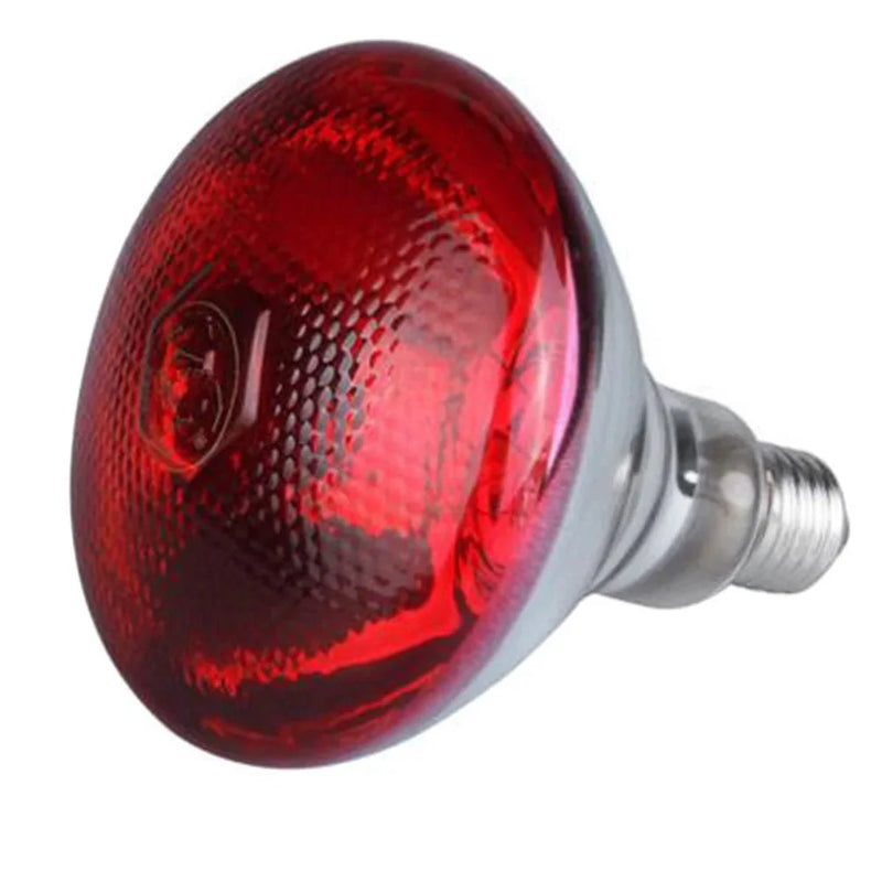 https://cdn.shopify.com/s/files/1/0647/9170/7830/files/lampe-rouge-chauffante-pour-chiot-3102268.webp?v=1777924932