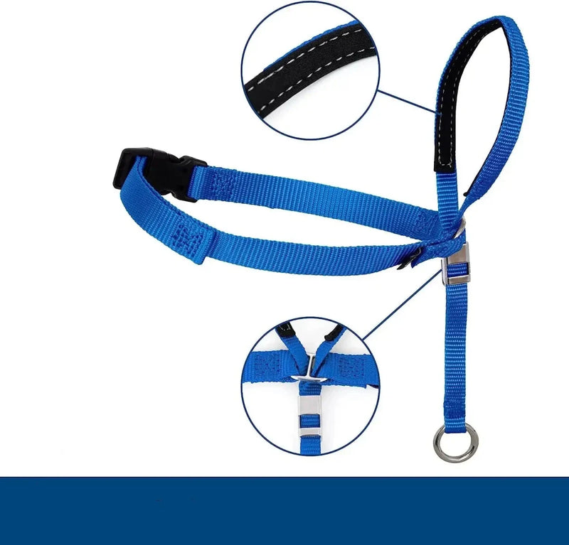 https://cdn.shopify.com/s/files/1/0647/9170/7830/files/licol-ajustable-en-nylon-9530302.webp?v=1777924994