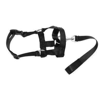https://cdn.shopify.com/s/files/1/0647/9170/7830/files/licol-ajustable-pour-chien-5256516.webp?v=1777924991