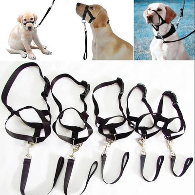 https://cdn.shopify.com/s/files/1/0647/9170/7830/files/licol-ajustable-pour-chien-5813311.webp?v=1777924991