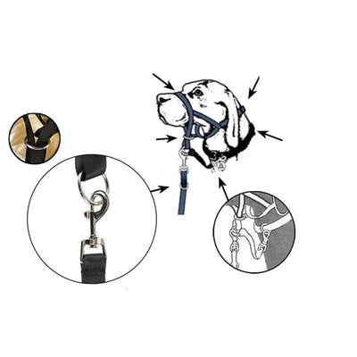 https://cdn.shopify.com/s/files/1/0647/9170/7830/files/licol-ajustable-pour-chien-8470156.webp?v=1777924991
