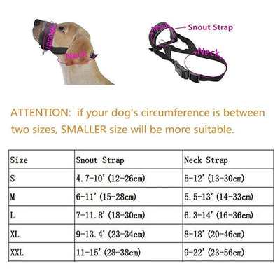https://cdn.shopify.com/s/files/1/0647/9170/7830/files/licol-dentrainement-pour-chien-1132023.webp?v=1777924872