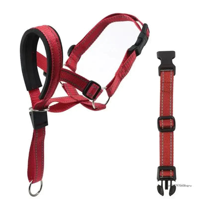 https://cdn.shopify.com/s/files/1/0647/9170/7830/files/licol-ethologique-chien-1215482.webp?v=1777923134