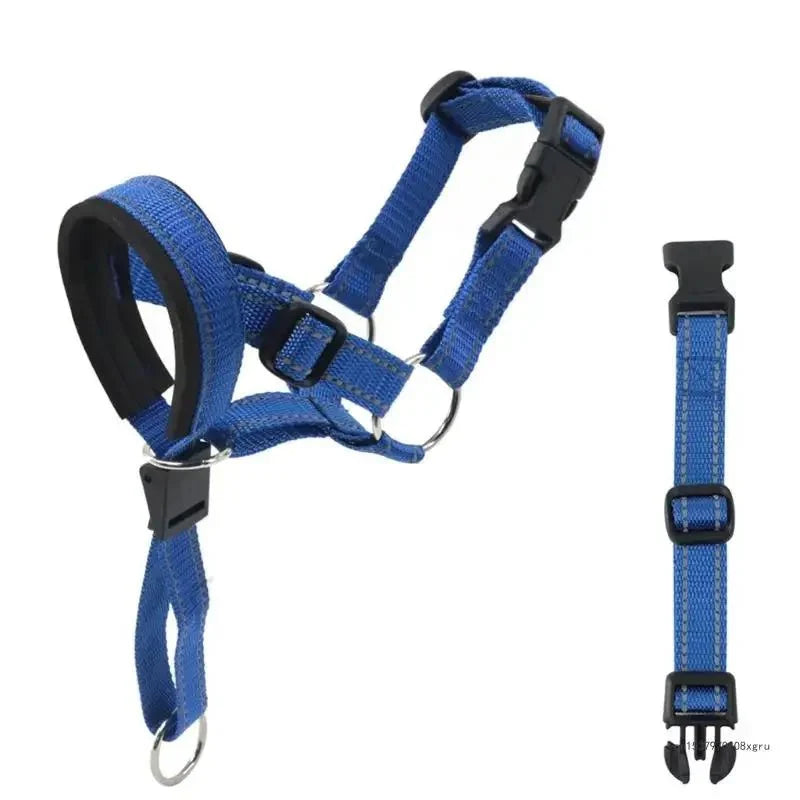 https://cdn.shopify.com/s/files/1/0647/9170/7830/files/licol-ethologique-chien-3443519.webp?v=1777923135