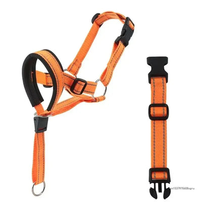 https://cdn.shopify.com/s/files/1/0647/9170/7830/files/licol-ethologique-chien-3572787.webp?v=1777923134
