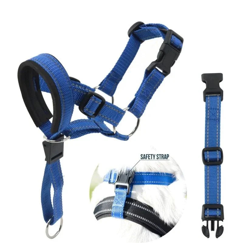 https://cdn.shopify.com/s/files/1/0647/9170/7830/files/licol-ethologique-chien-3443519.webp?v=1777923135