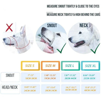 https://cdn.shopify.com/s/files/1/0647/9170/7830/files/licol-ethologique-chien-9818180.webp?v=1777923135