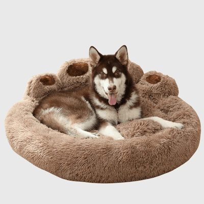 https://cdn.shopify.com/s/files/1/0763/9767/4819/files/lit_douillet_pour_chien_chiot.png?v=1747920956