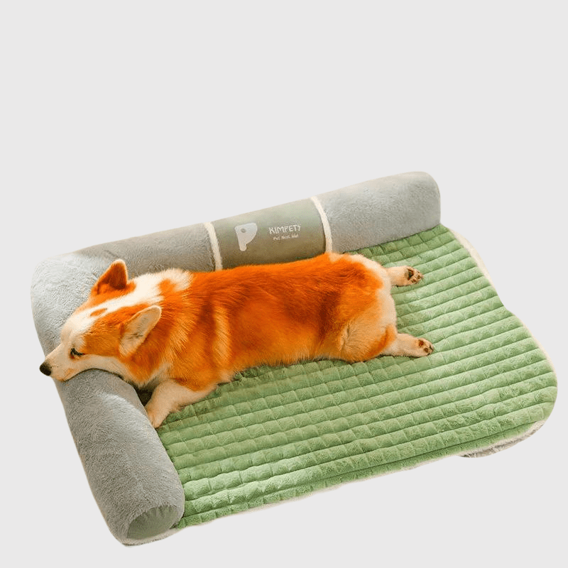 https://cdn.shopify.com/s/files/1/0763/9767/4819/files/lit_orthopedique_pour_chien.png?v=1727711303