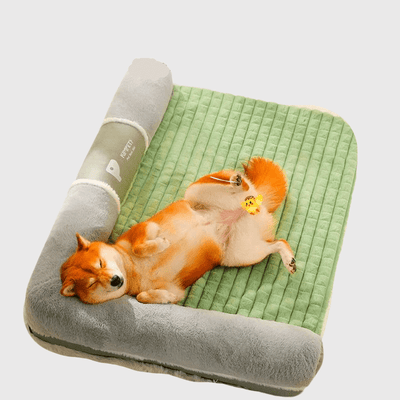 https://cdn.shopify.com/s/files/1/0763/9767/4819/files/lit_orthopedique_pour_chien_shiba_inu.png?v=1727711245