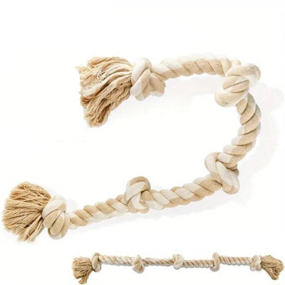 https://cdn.shopify.com/s/files/1/0647/9170/7830/files/long-os-en-corde-pour-chien-5169147.webp?v=1777925346