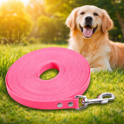 https://cdn.shopify.com/s/files/1/0763/9767/4819/files/longe-pour-chien-paradischien.png?v=1773398379