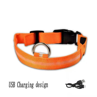 https://cdn.shopify.com/s/files/1/0647/9170/7830/files/lumiere-collier-chien-6442029.webp?v=1777923316