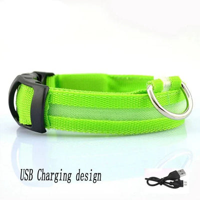 https://cdn.shopify.com/s/files/1/0647/9170/7830/files/lumiere-collier-chien-6752500.webp?v=1777923316