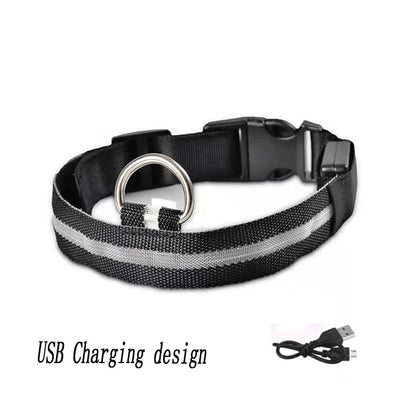 https://cdn.shopify.com/s/files/1/0647/9170/7830/files/lumiere-collier-chien-8444877.webp?v=1777923315