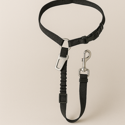 https://cdn.shopify.com/s/files/1/0923/9910/8483/files/mai_2025_20_06_18.png?v=1746547536