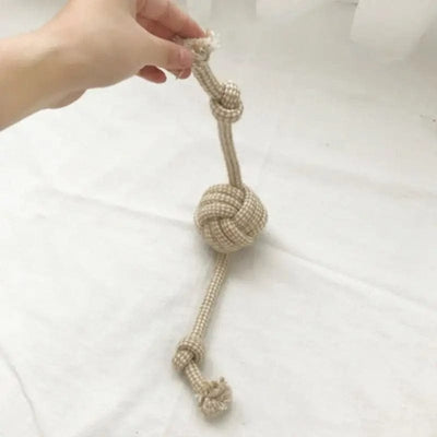 https://cdn.shopify.com/s/files/1/0489/2898/1148/files/main-image-10_0ac38bdc-f46b-4276-99a4-c3f2f283ba8e.jpg?v=1744537101