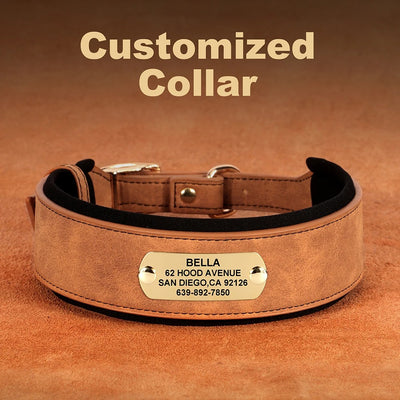 Collier Cuir Personnalisé Renforcé Gros Chien - Gros-Chien.com