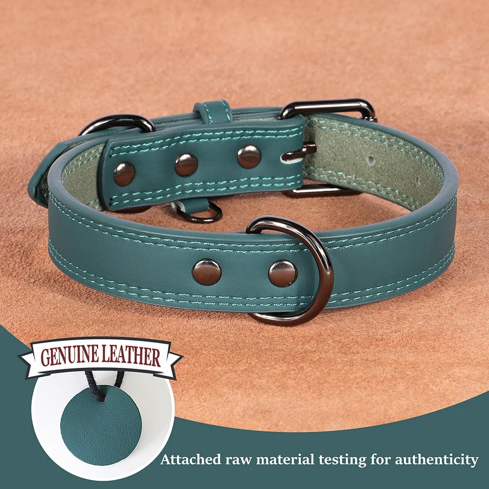 Collier pour chien en cuir véritable vert
