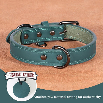Collier pour chien en cuir véritable vert - Gros-Chien.com