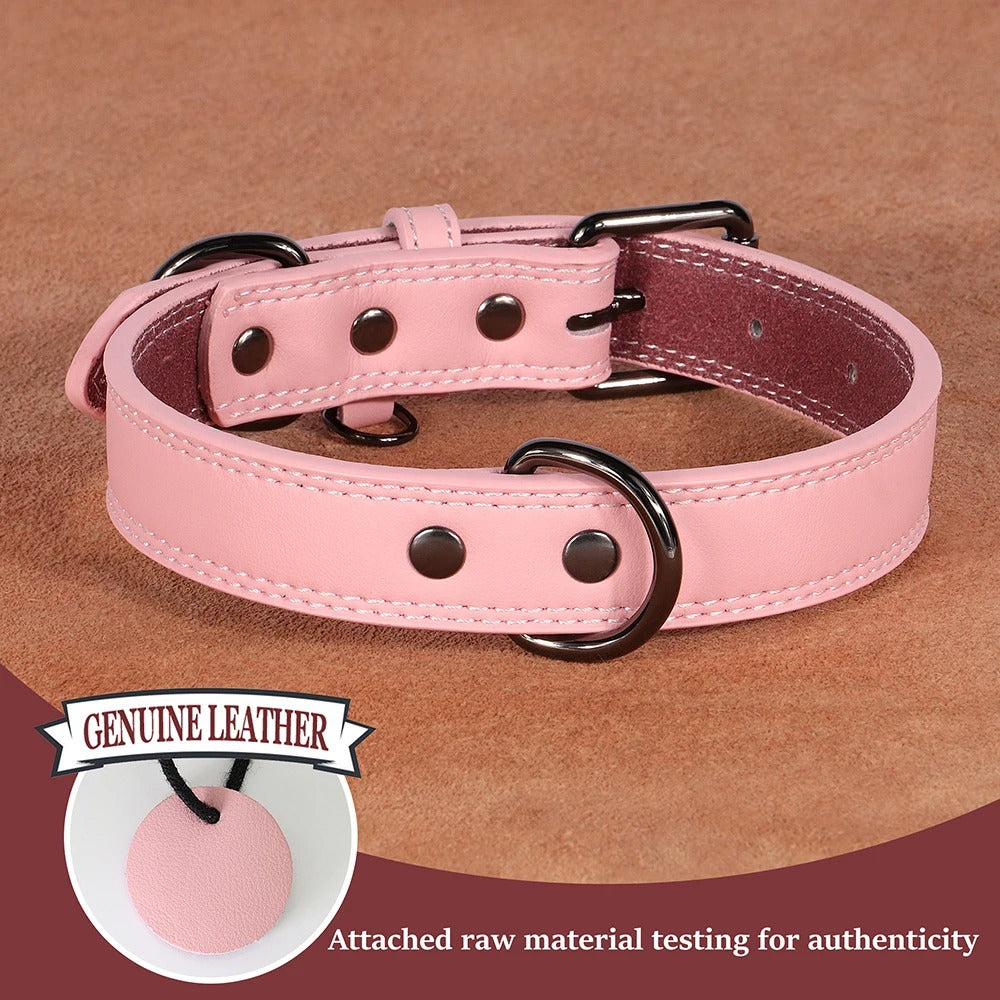 Collier pour chien en cuir véritable rose