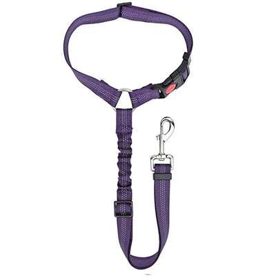https://cdn.shopify.com/s/files/1/0489/2898/1148/files/main-image-11.jpg?v=1745075209